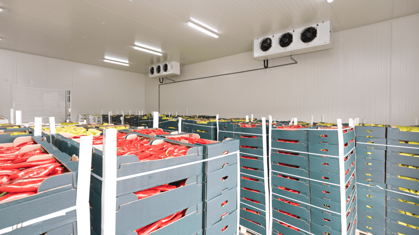 RDT  - Effect of Cold Storage & Humidity on Food Storage Header Image