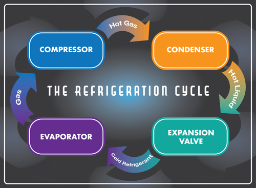 REF CYCLE-01-1