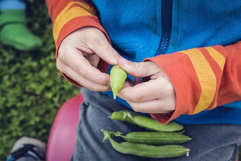 Three Ways to Make Your Foodservice Operation More Sustainable.jpg